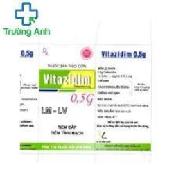 Vitafxim 0,5g VCP - Thuốc điều trị nhiễm khuẩn